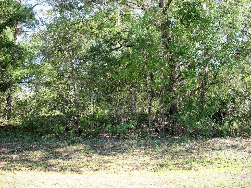 420 Eagle Dr., Poinciana, FL 34759