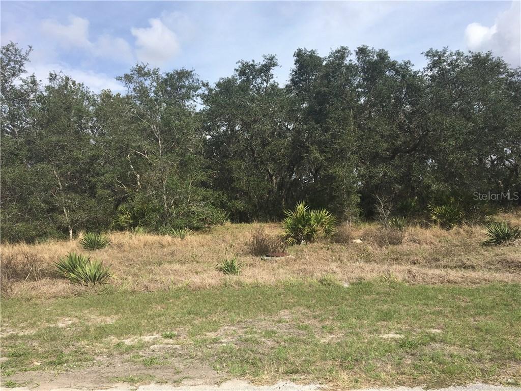 Big Sioux Dr., Poinciana, FL 34759