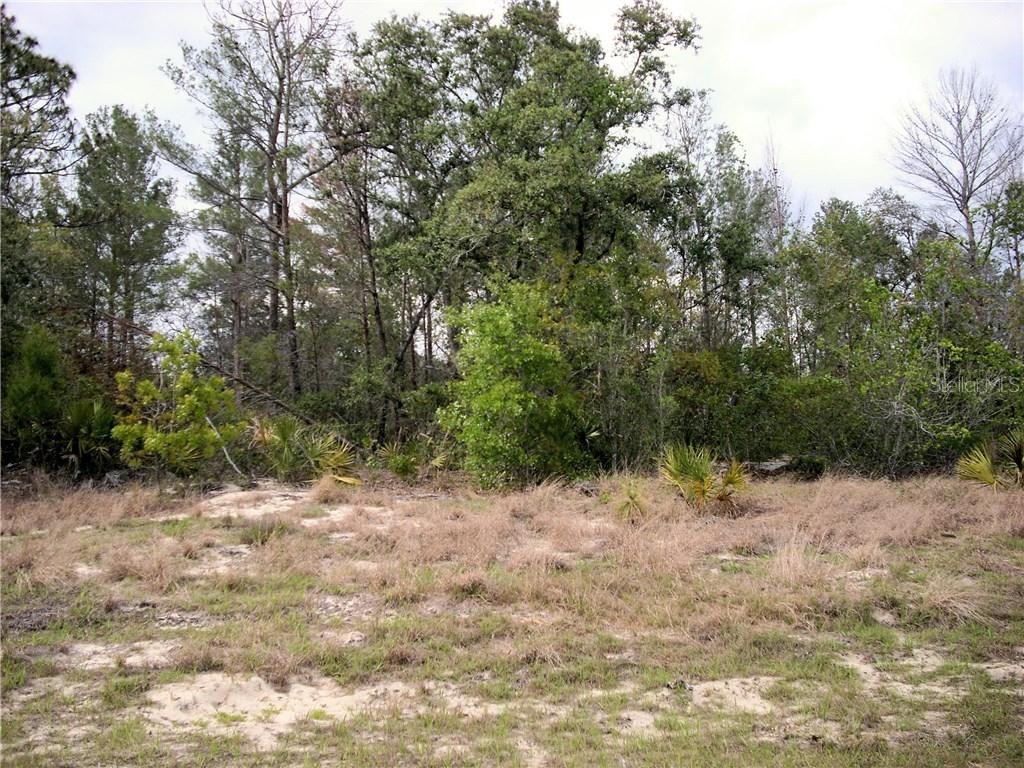 2009 Maple Ln., Poinciana, FL 34759