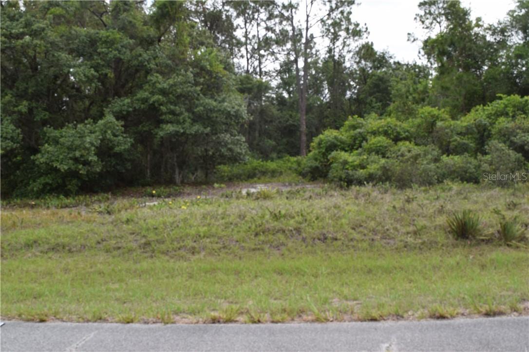360 Bass Ct., Poinciana, FL 34759