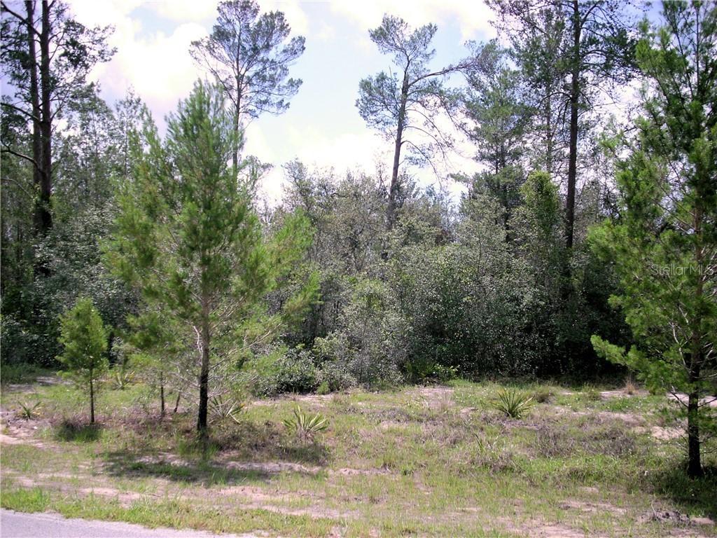 263 Elm Ct., Poinciana, FL 34759