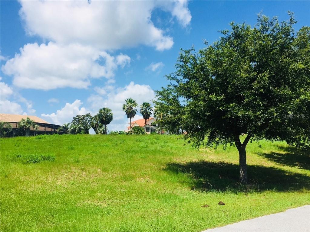 Royal Palm Dr., Groveland, FL 34736