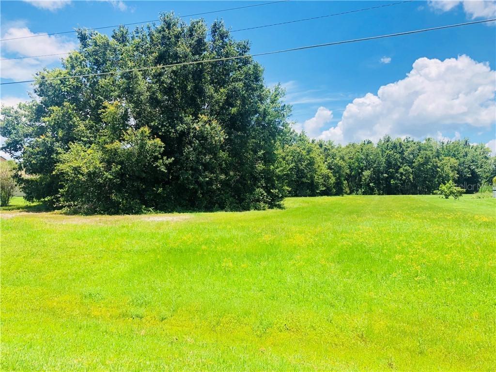Big Valley Blvd., Kissimmee, FL 34746