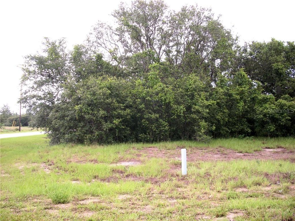 201 Fig Ct., Poinciana, FL 34759