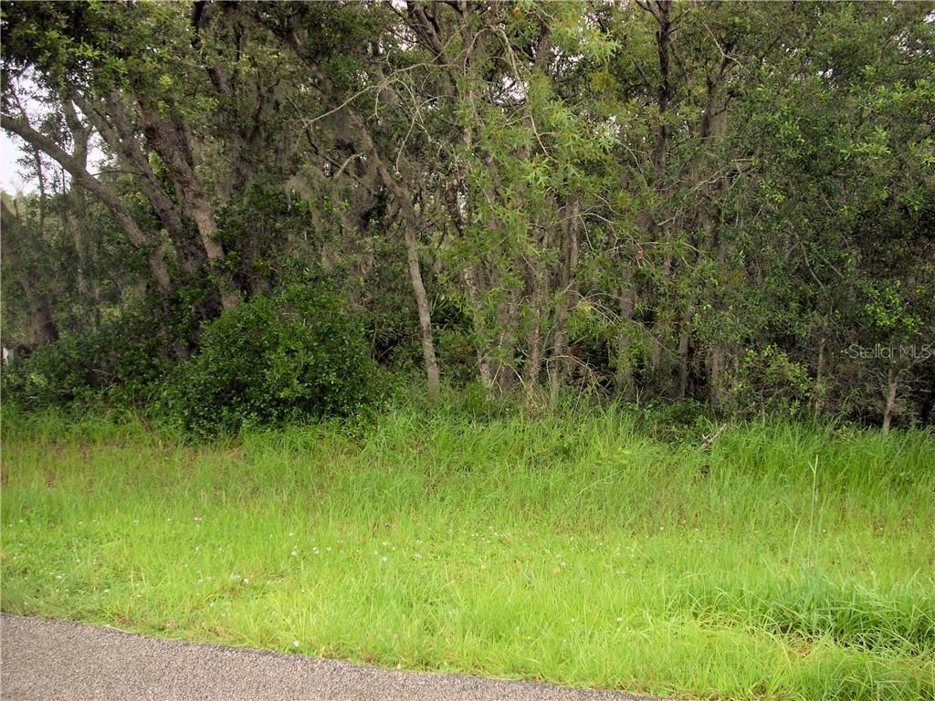 1917 Dolphin Dr., Poinciana, FL 34759