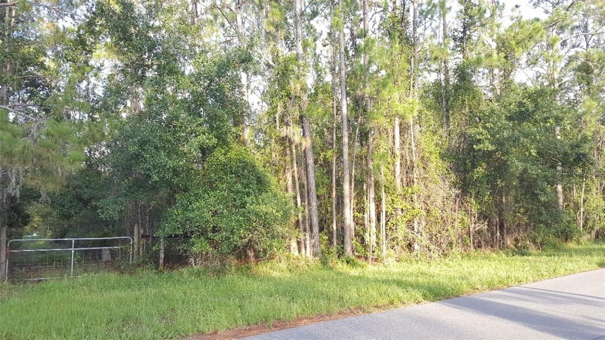 4285 Story Rd., Saint Cloud, FL 34772