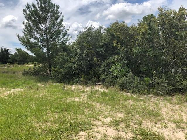 16 Orchid Ct., Poinciana, FL 34759