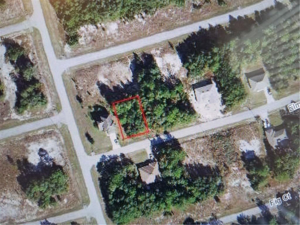294 Elm Ct., Poinciana, FL 34759
