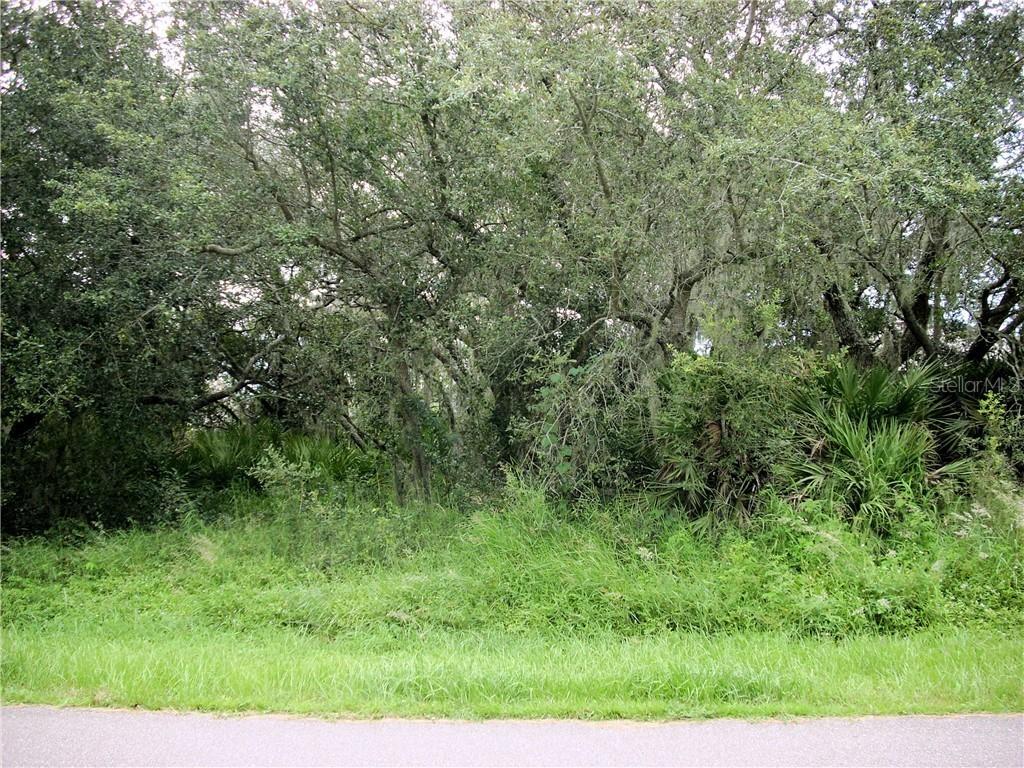 315 Shad Way, Poinciana, FL 34759