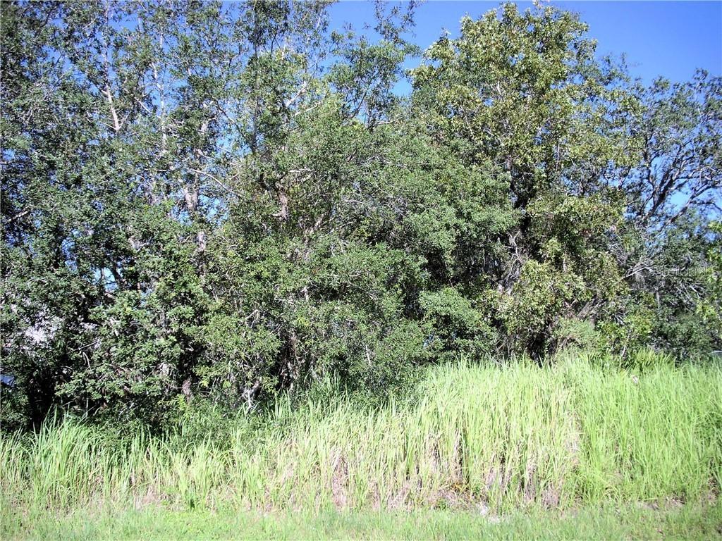 1906 Pike Way, Poinciana, FL 34759