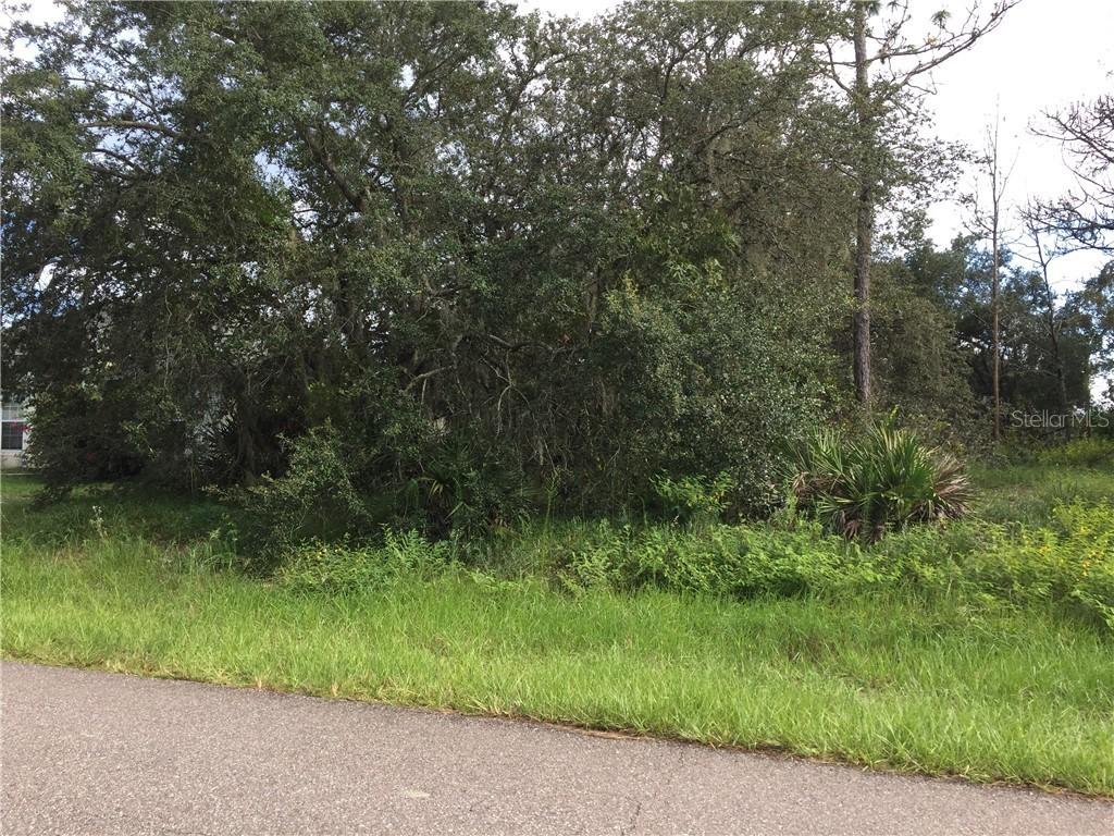 314 Puffer Ct., Poinciana, FL 34759