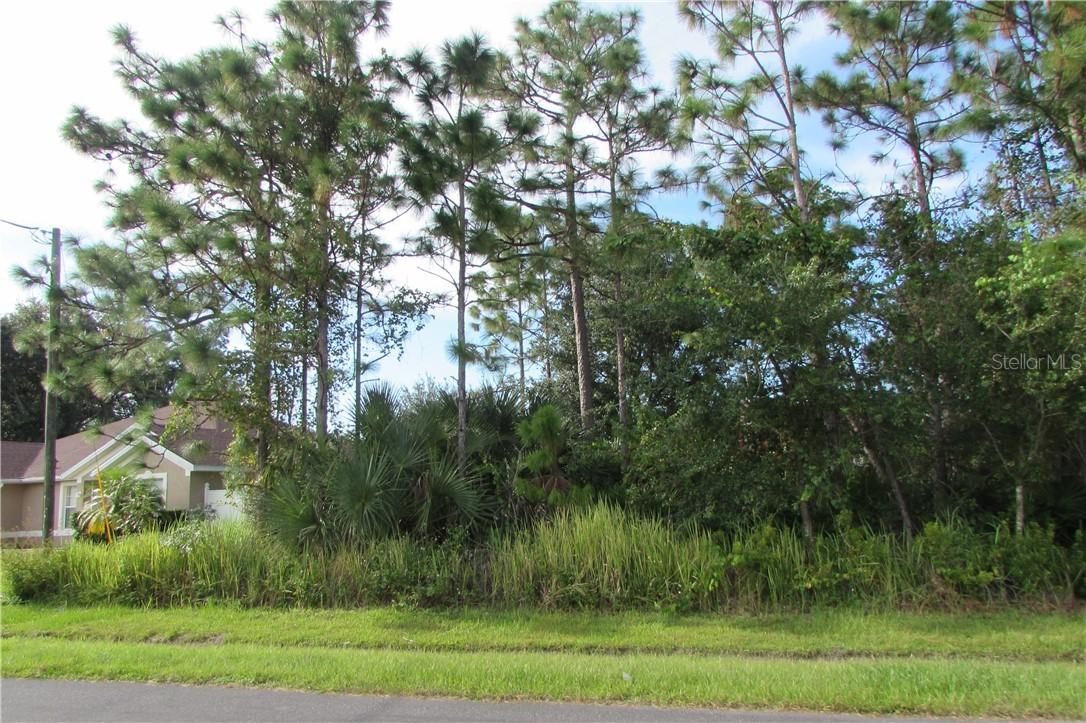 672 Parakeet Ct., Poinciana, FL 34759