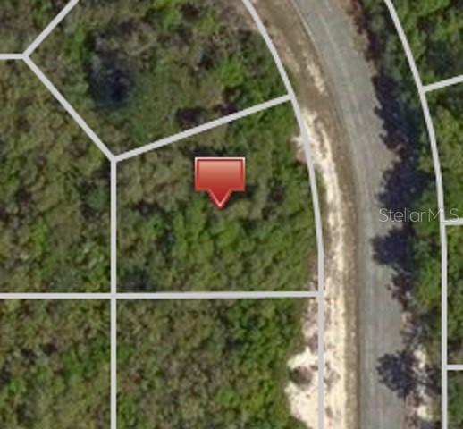 1234 Baltic Dr., Poinciana, FL 34759