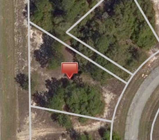 1333 Homosassa Ct., Poinciana, FL 34759