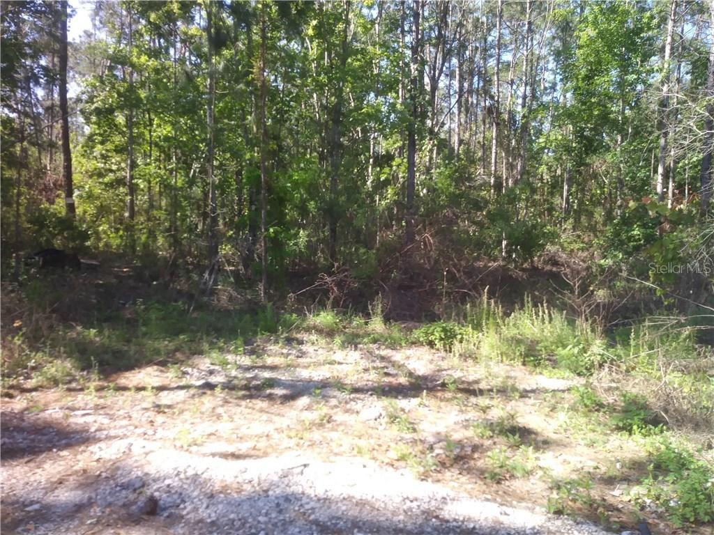 Country World Dr West, Davenport, FL 33897