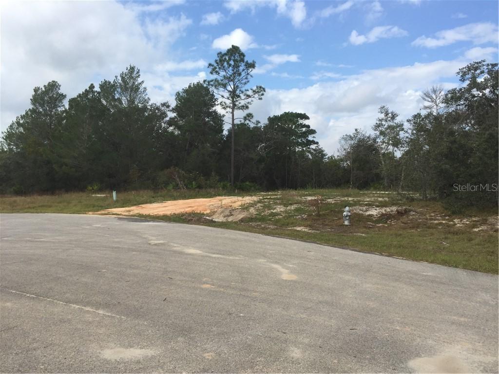 64 Zinnia Ln., Poinciana, FL 34759