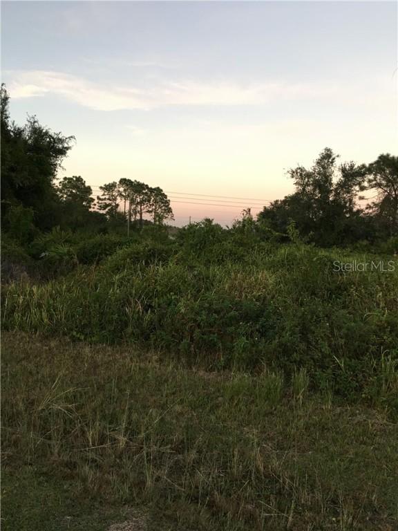 Albatross Dr., Poinciana, FL 34759
