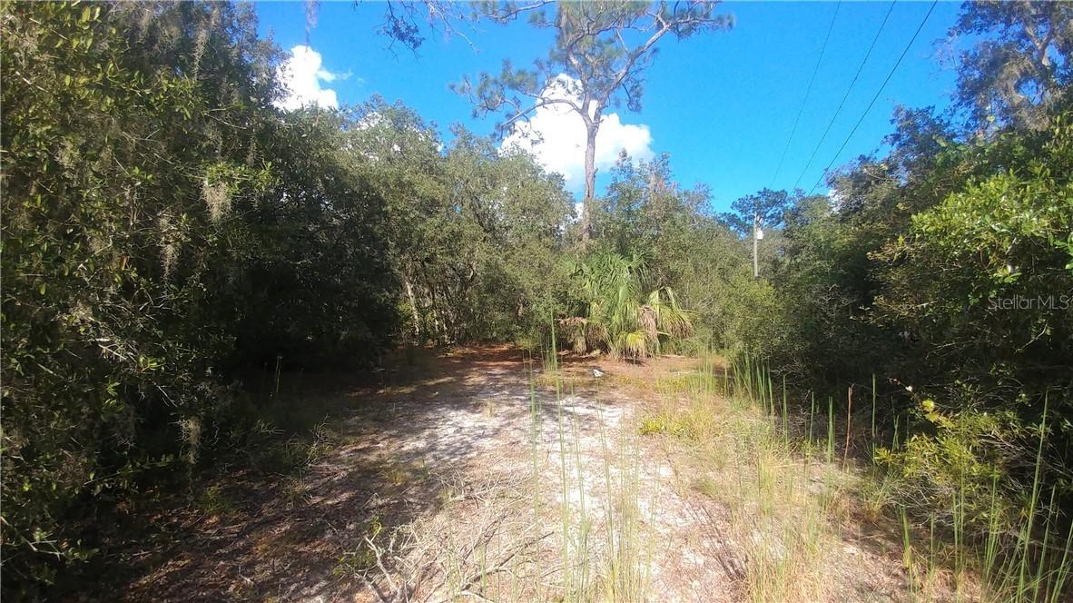 4620 Old Bridge Tr., Lake Wales, FL 33898