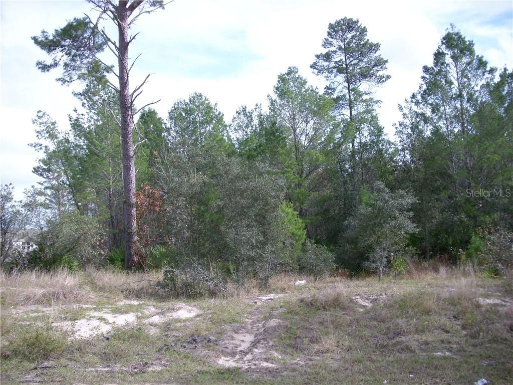 257 Elm Ct., Poinciana, FL 34759