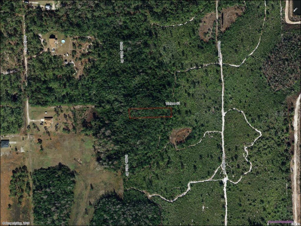 1201 Sable Palm Dr., Christmas, FL 32709