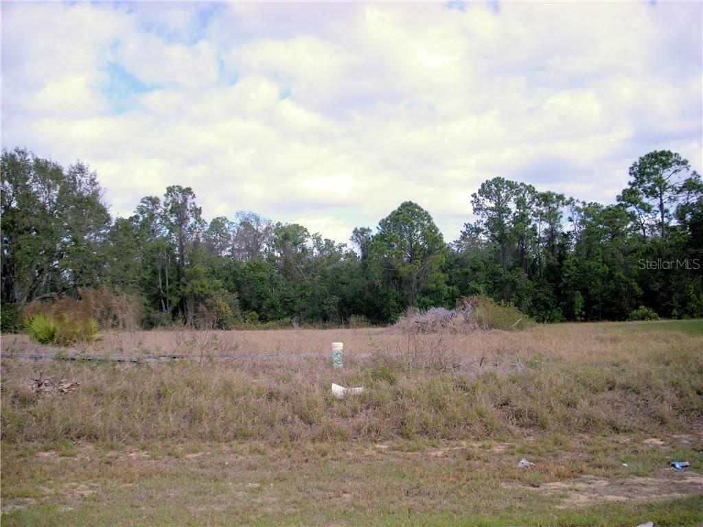 1131 Nelson Meadow Ln., Poinciana, FL 34759