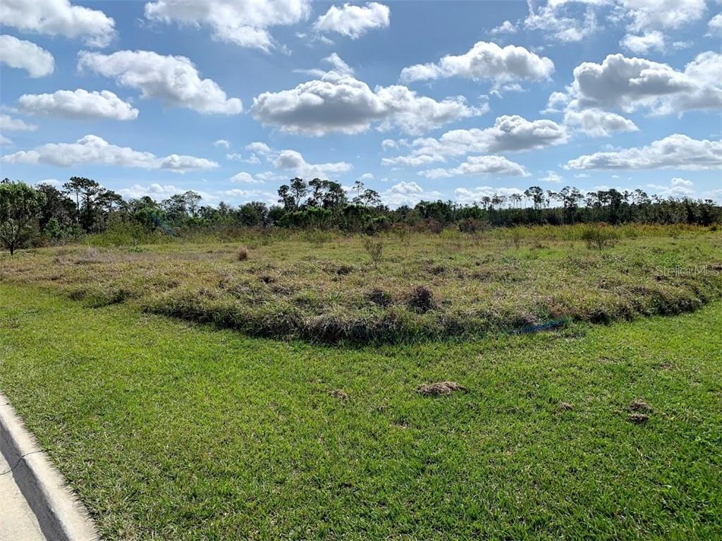 Macarthur Palms Dr., Lake Wales, FL 33859