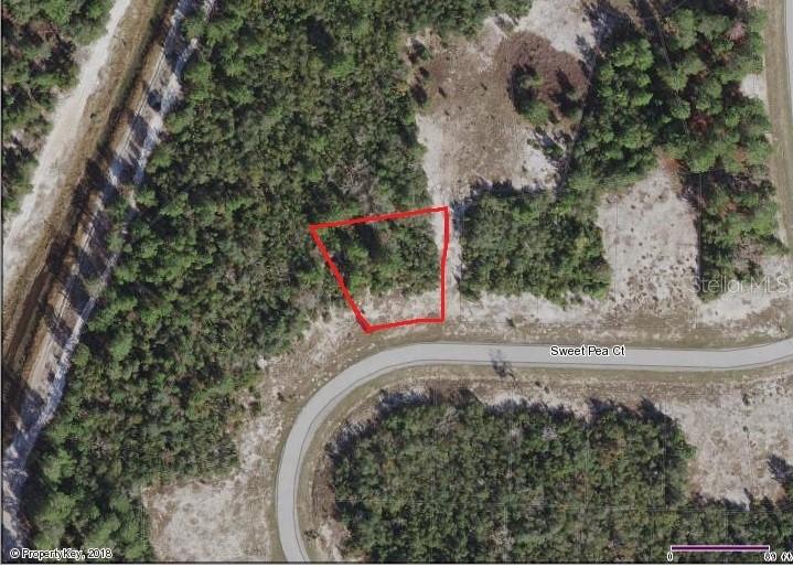 117 Sweet Pea Ct., Poinciana, FL 34759