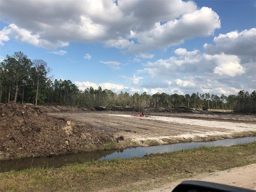 908 Hidden Palms Dr., Davenport, FL 33897