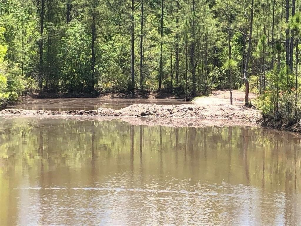 1214 Hidden Palms Dr., Davenport, FL 33897