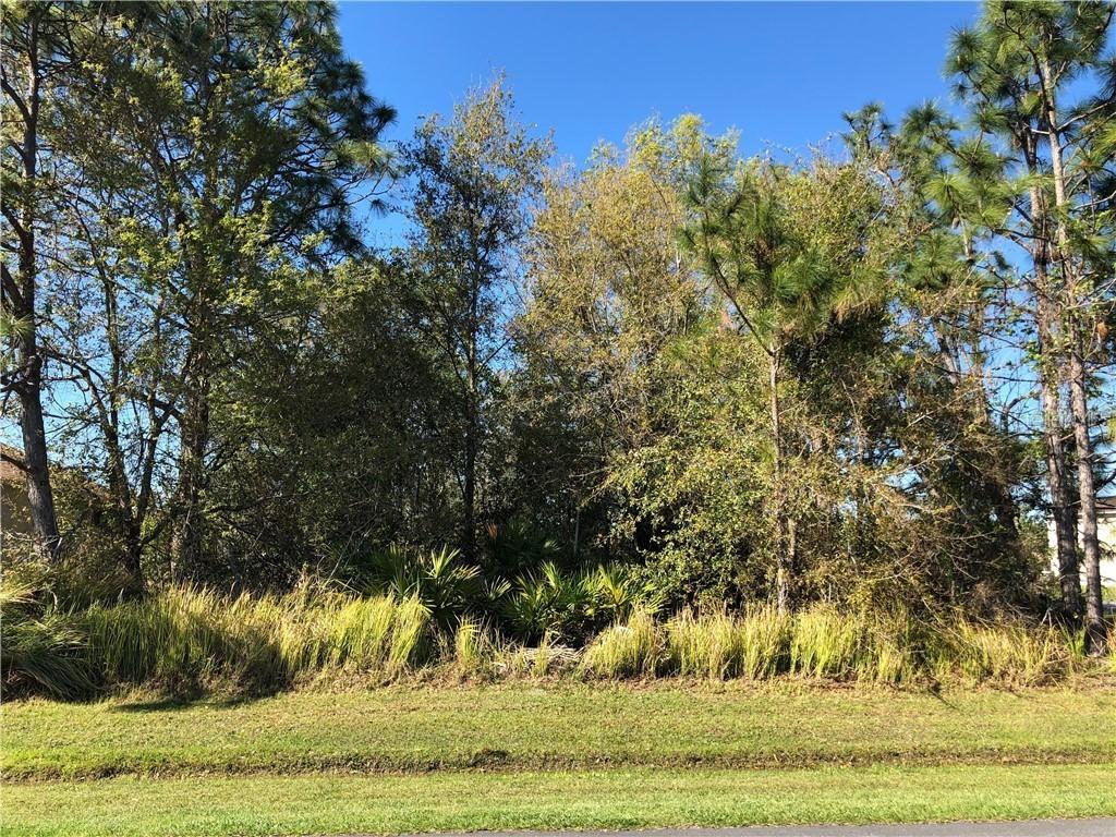 601 Dunlin Ln., Poinciana, FL 34759
