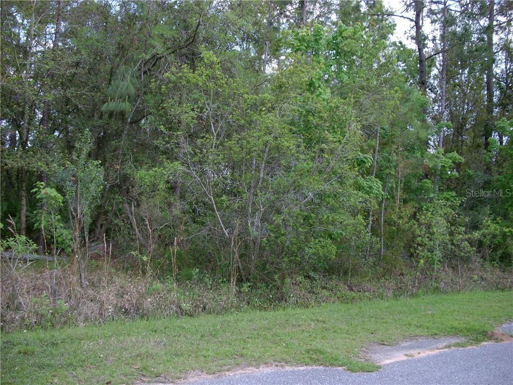 169 Sparrow Ct., Poinciana, FL 34759