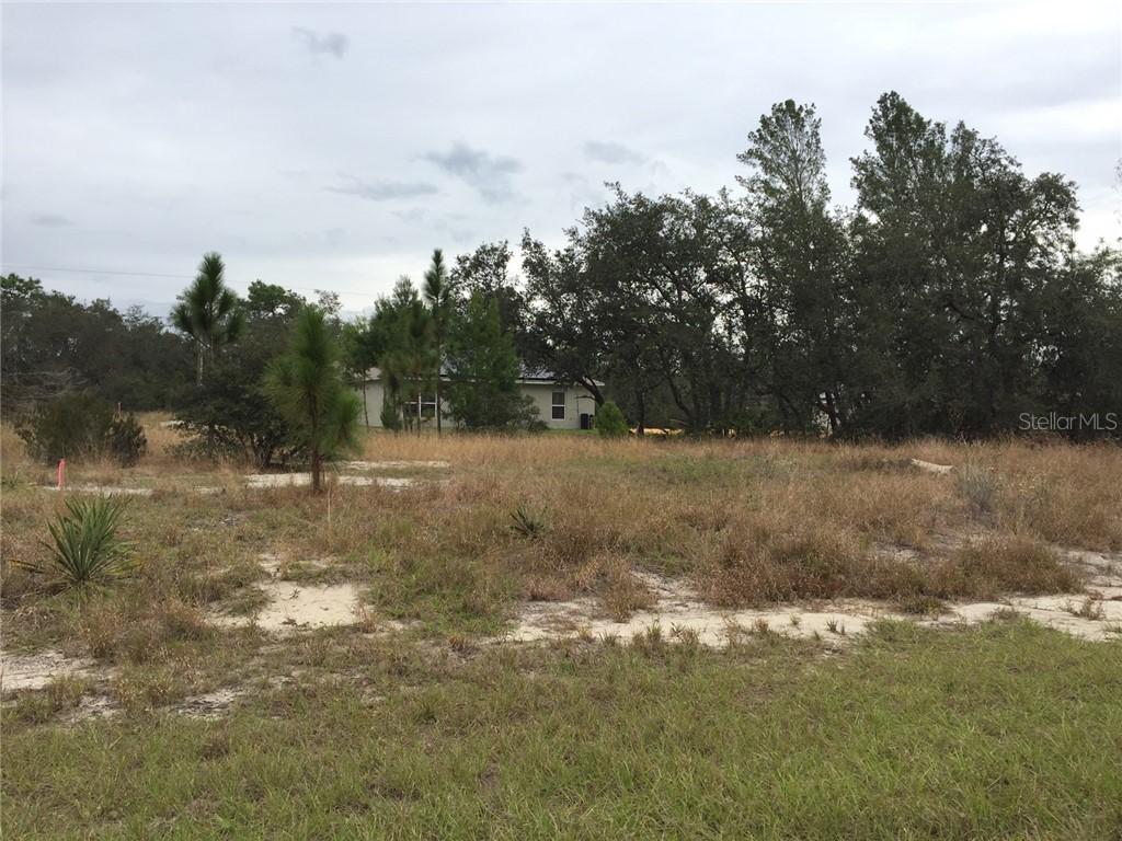 221 Fig Ct., Poinciana, FL 34759