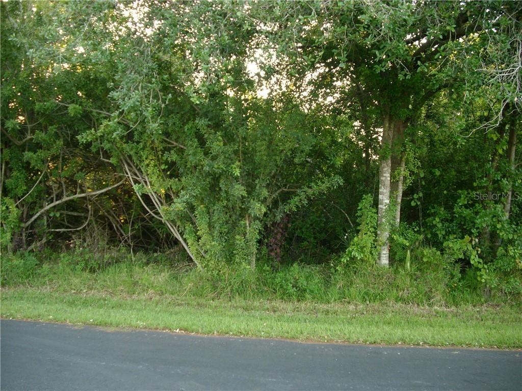 212 Chadworth Dr., Kissimmee, FL 34758