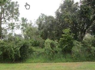 1130 Lavaur Ct., Kissimmee, FL 34759
