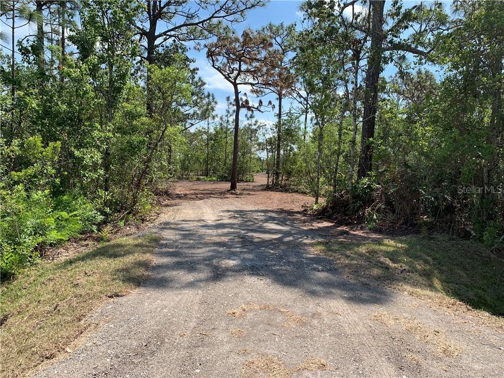 Packard Ave., Saint Cloud, FL 34772