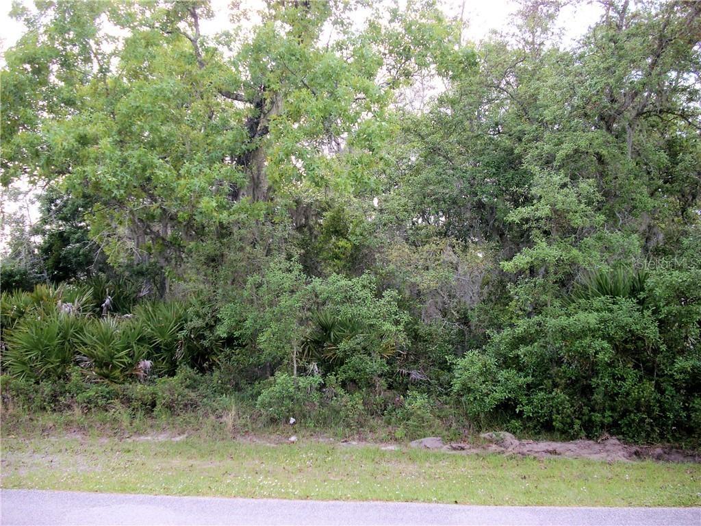 315 Grouper Dr., Poinciana, FL 34759