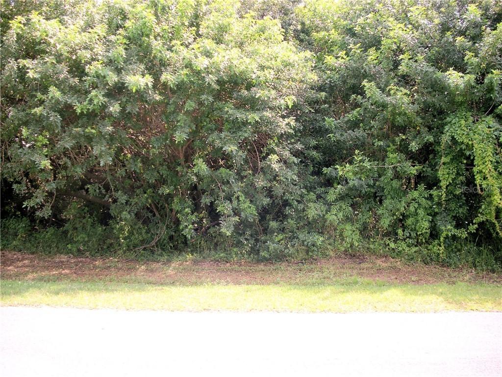 914 Alsace Dr., Kissimmee, FL 34759