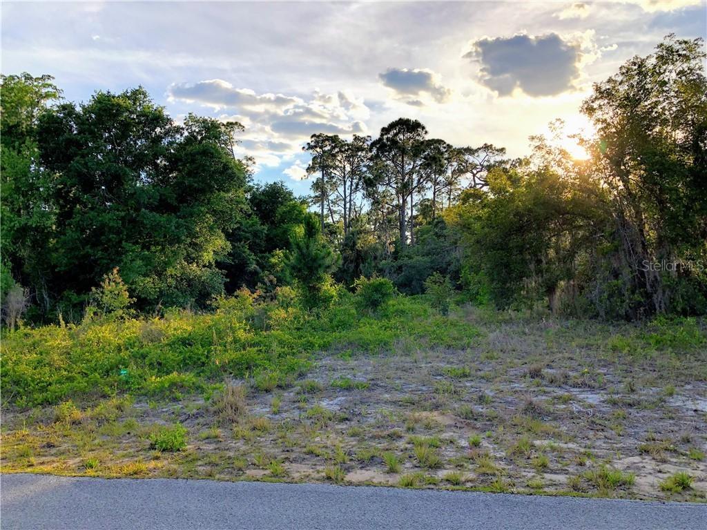 4113 Orchid Blvd., Lake Wales, FL 33898