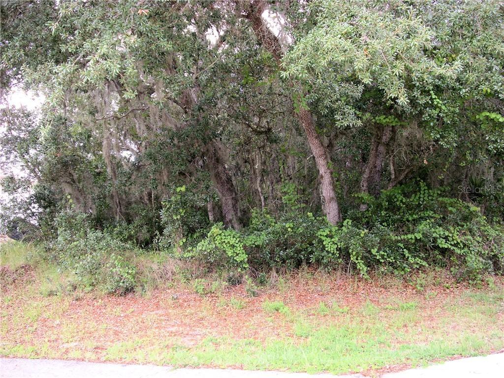 205 Flounder Pl., Poinciana, FL 34759