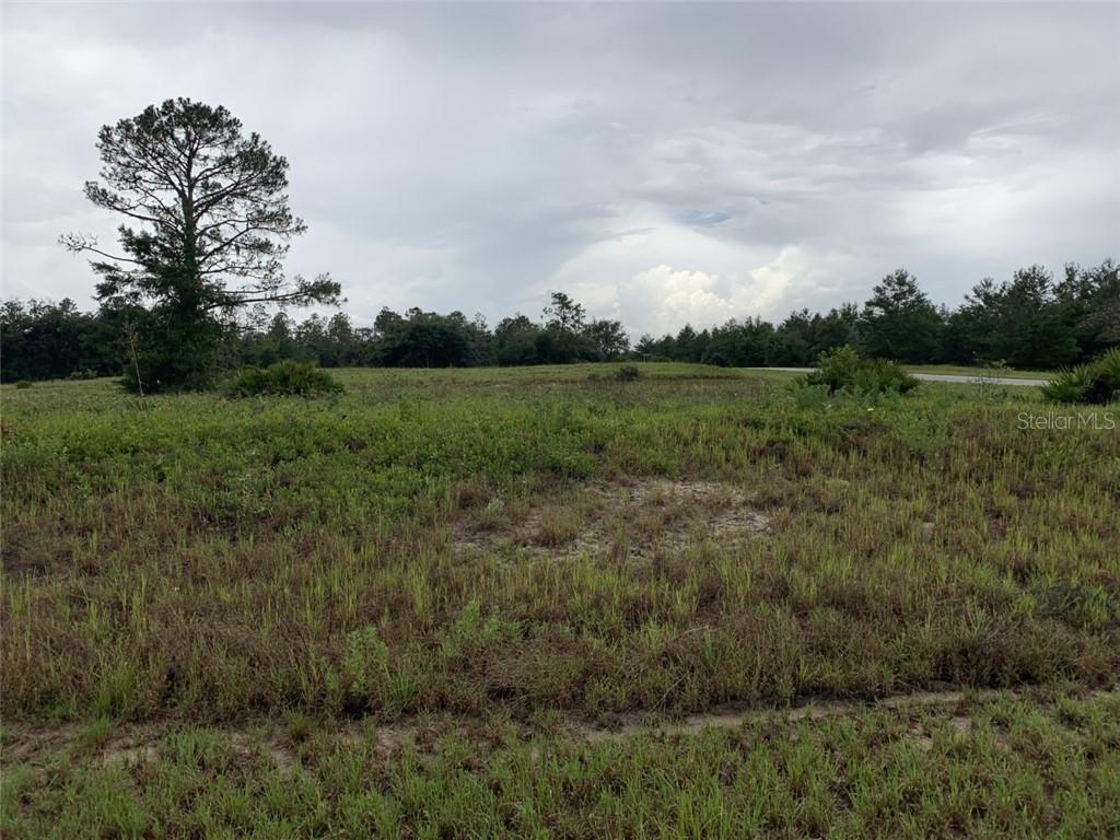 1319 Hillsborough Ln., Poinciana, FL 34759