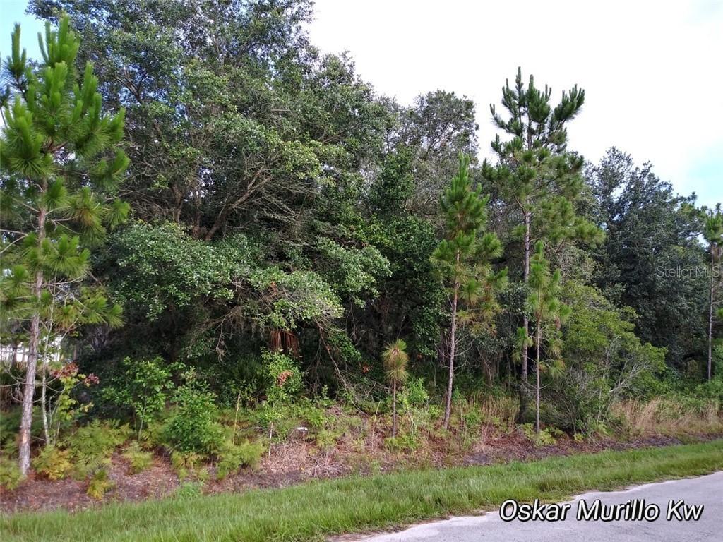 1451 Tern Ct., Poinciana, FL 34759