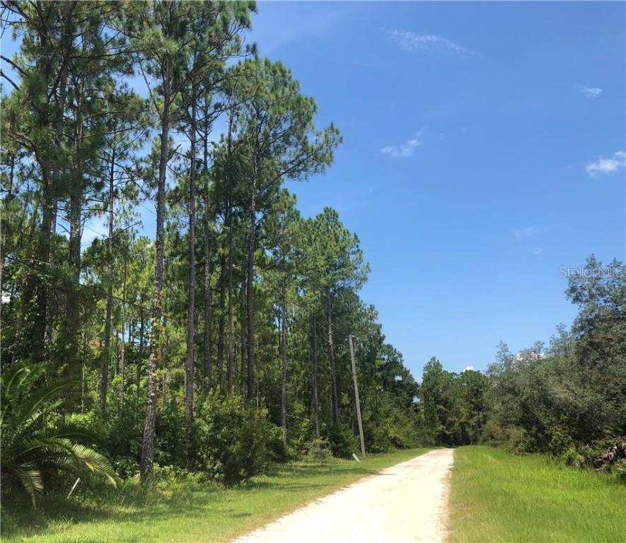 Thacker Tr., Kissimmee, FL 34747