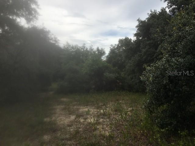 Petes Ln., Davenport, FL 33837