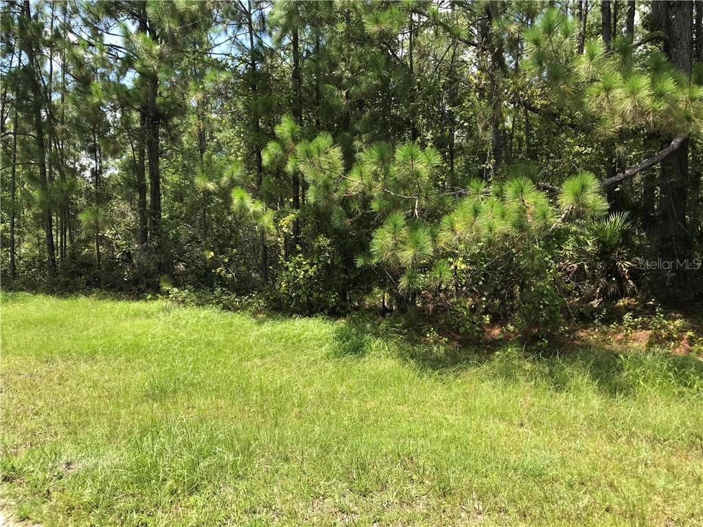 1703 Hidden Palms Dr., Davenport, FL 33897