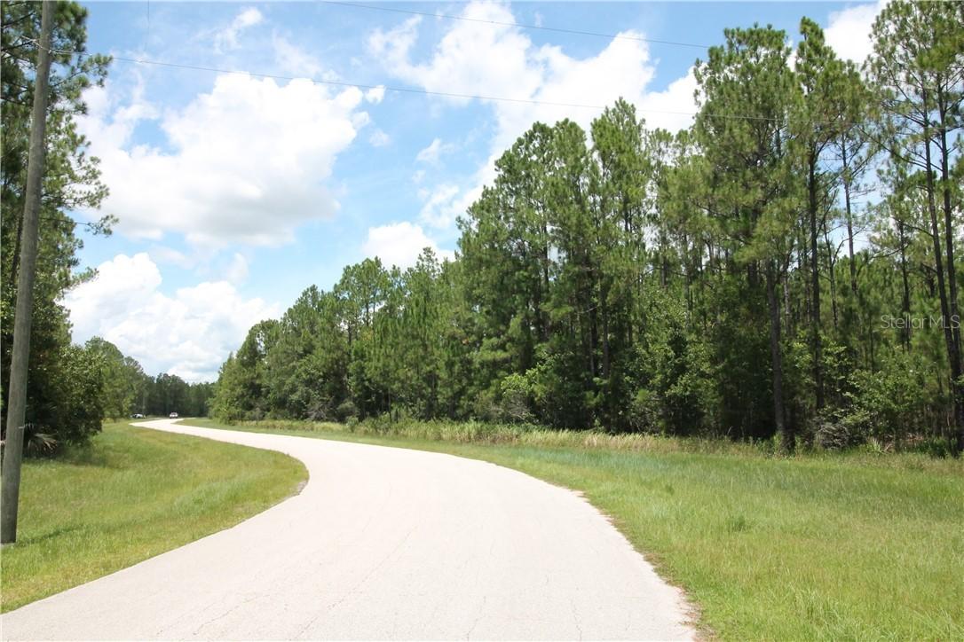 602 Hidden Palms Dr., Davenport, FL 33897