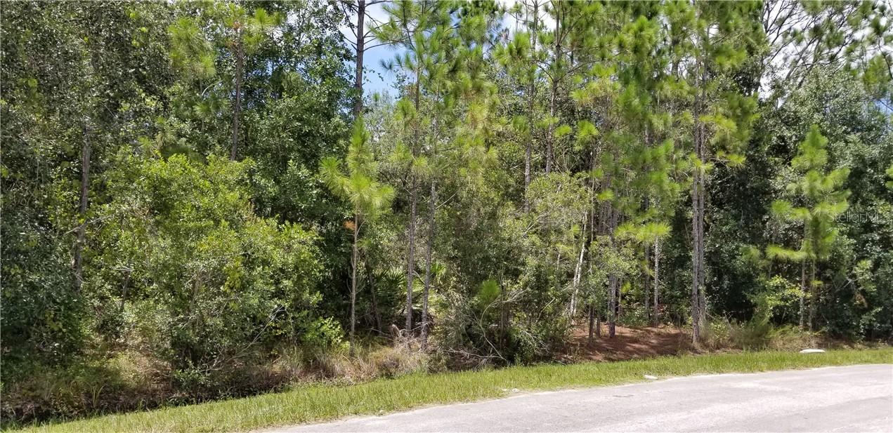 1451 Tern Ct., Poinciana, FL 34759