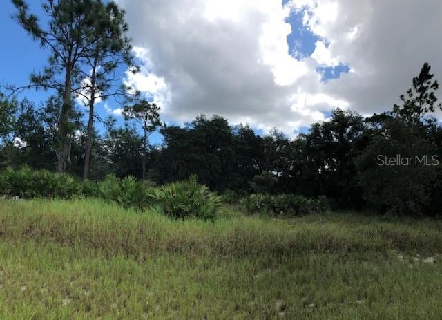 Sarasota Ct., Poinciana, FL 34759