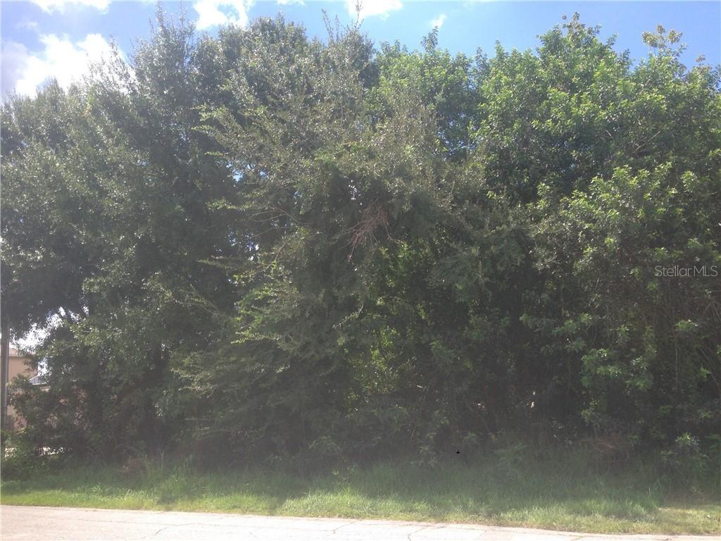 Gascony Ct., Kissimmee, FL 34759