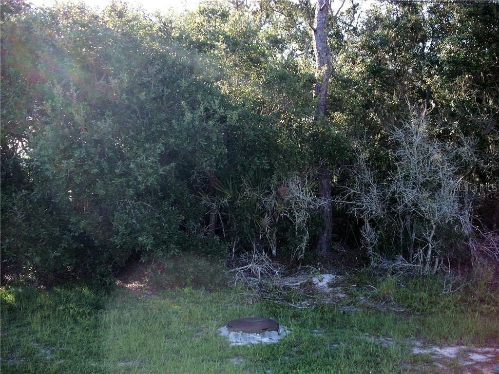 1957 Michigan Dr., Poinciana, FL 34759