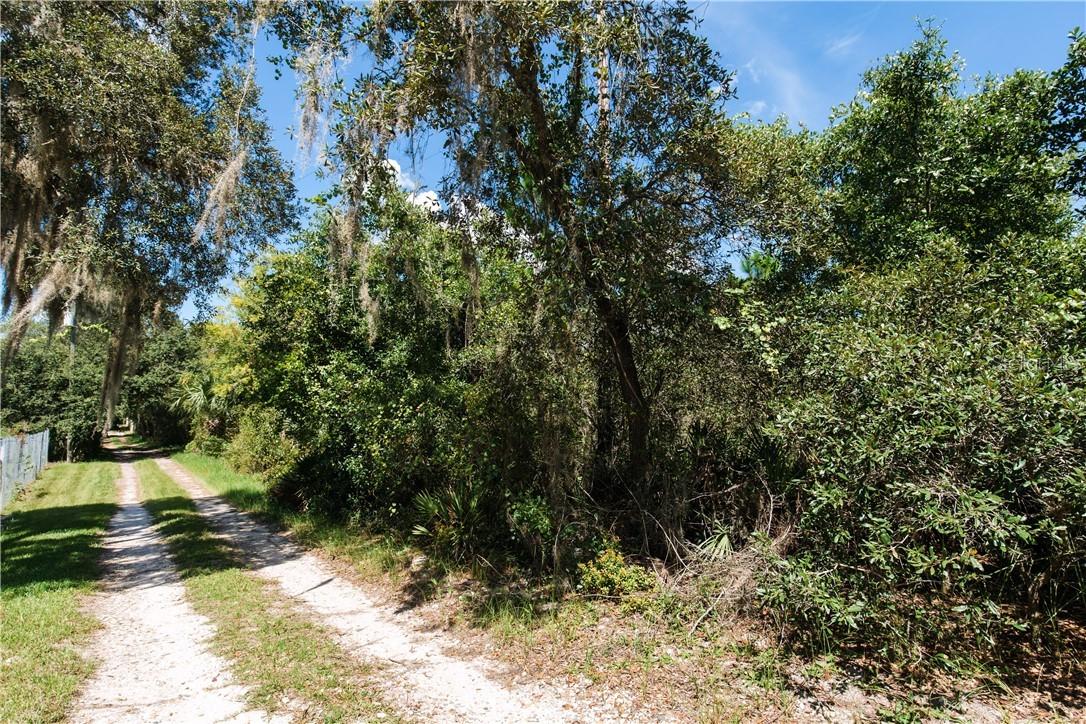 Wild Turkey Tr., Poinciana, FL 34759